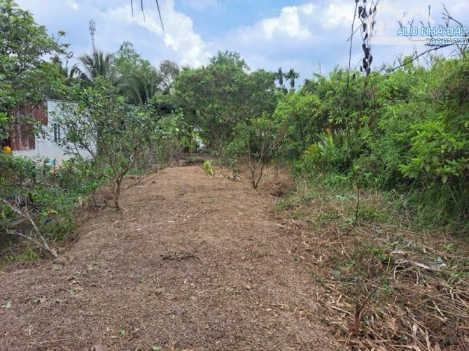 Bán đất 486 m2 gần cầu Vàm  Sáng  có thổ cư 1,45 tỷ - 3