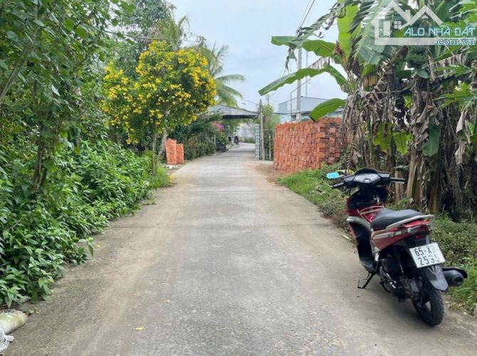 Bán đất 138 m2 mặt tiền rạch Phó Thọ gần chợ Bà Bộ 1,4 tỷ - 3