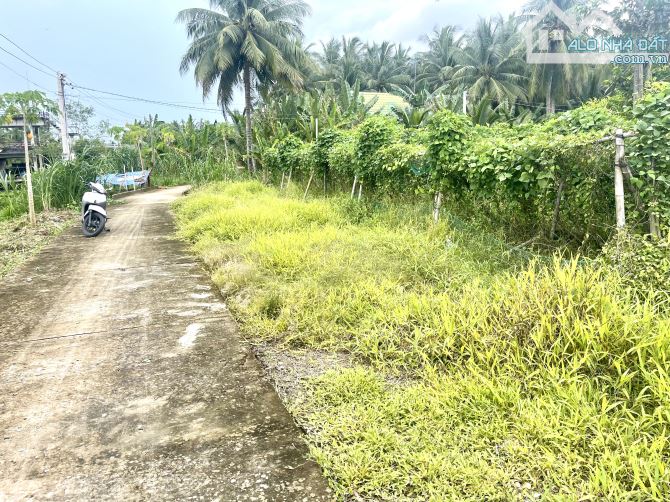 Đất mặt tiền dal ô tô gần trường cấp 2, gần chợ Đại Phúc - 3