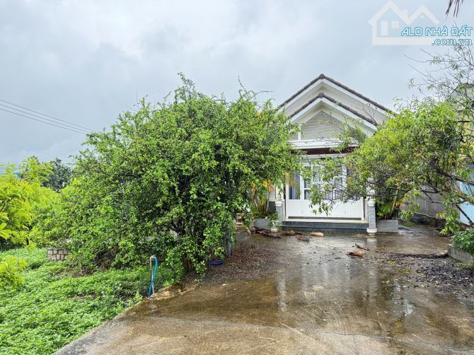 Bán Villa Sân Vườn Đã Hoàn Công 1000m2 Góc Hai Mặt Tiền Ngang 27m Có Đầy Đủ Cây Ăn Trái - 4