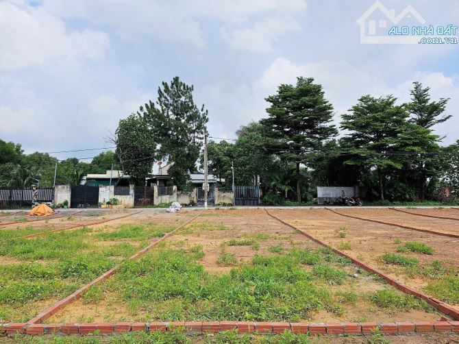 Đất nền sổ riêng thổ cư Quảng Tiến 1 tỷ 3 gần trung tâm thị trấn và Đại Lộ Đông Tây. - 4