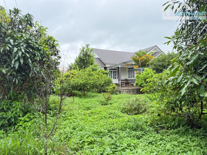 Bán Villa Sân Vườn Đã Hoàn Công 1000m2 Góc Hai Mặt Tiền Ngang 27m Có Đầy Đủ Cây Ăn Trái - 5