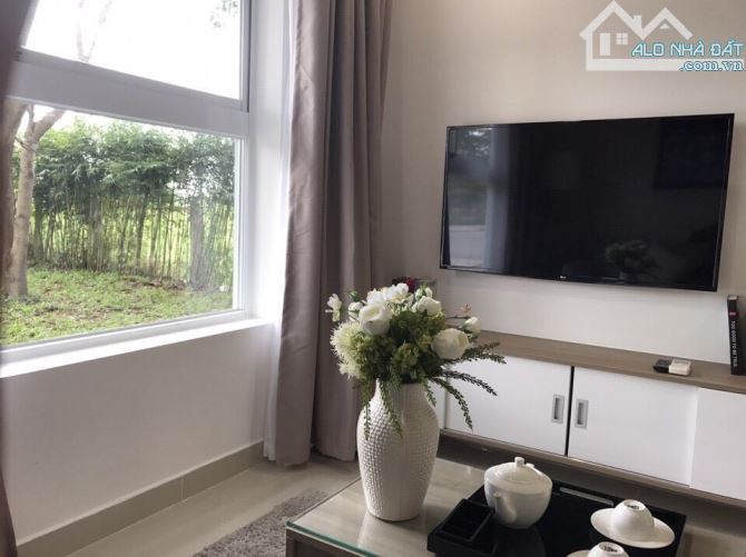 Cực sốc! giỏ hàng căn hô chung cư cho thuê giá rẻ ở liền tại Q11-TB 2Pn có nội thất 8.5tr - 5