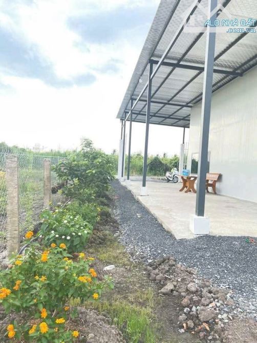 Hàng thơm, nhà vườn 500m2 view kênh cực đẹp chỉ 879tr - 6