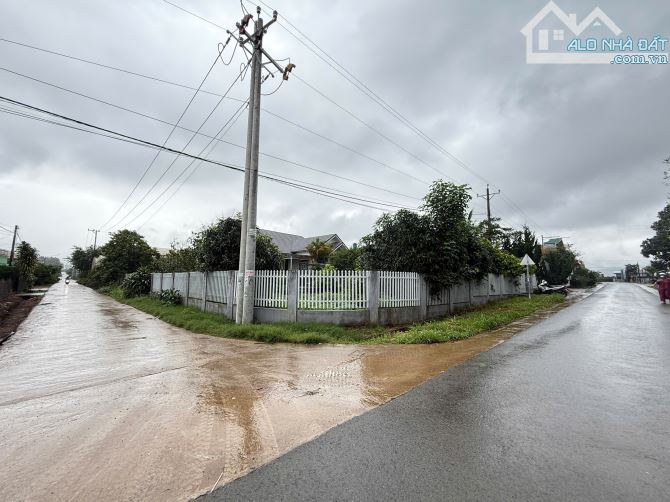 Bán Villa Sân Vườn Đã Hoàn Công 1000m2 Góc Hai Mặt Tiền Ngang 27m Có Đầy Đủ Cây Ăn Trái - 6