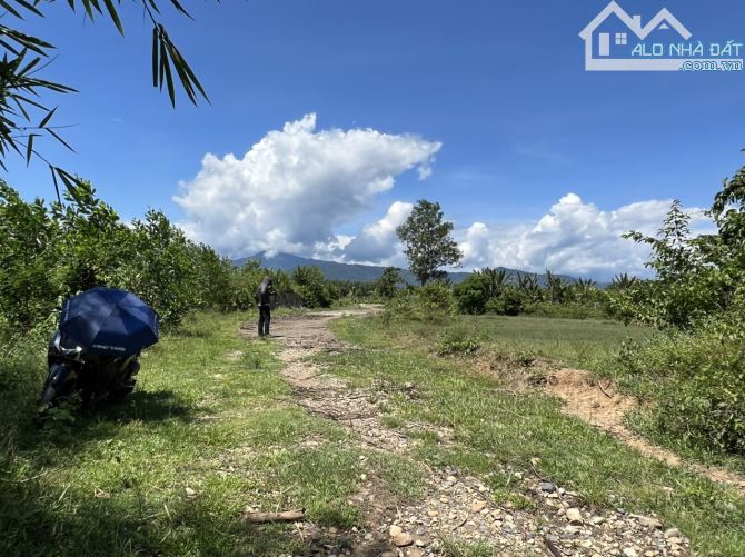 Bán lô đất vườn suối bọc quanh đất đường rộng 5m cách đường tỉnh lộ 8 chỉ 300m - 6