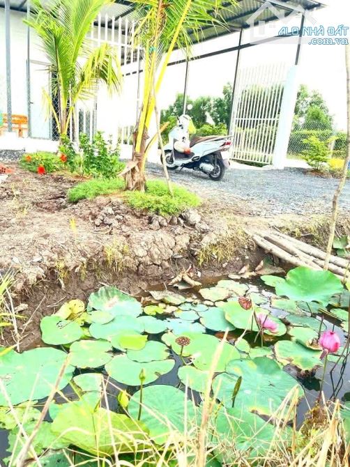 Hàng thơm, nhà vườn 500m2 view kênh cực đẹp chỉ 879tr - 7