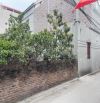 ĐẤT CHÍNH CHỦ CẦN BÁN NHANH HẬU DƯỠNG KIM CHUNG