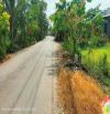 Ccg  Bán 1000m2 đất phủ hồng mặt tiền nhụa ngang 34m. Thuộc Hưng Long - Bình Chánh
