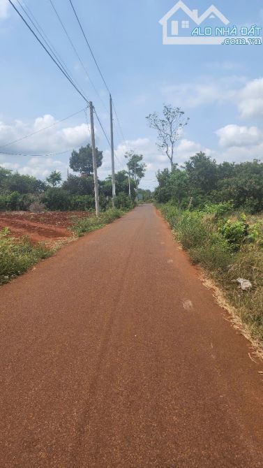 Cần tiền bán lô đất hơn 4 sào  xã Bình Ba, huyện Châu Đức, Bà Rịa Vũng Tàu.