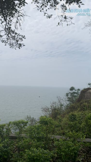 Vip! 3000m2, 400TC, Yên thế, Bắc Giang 1,3 tỷ