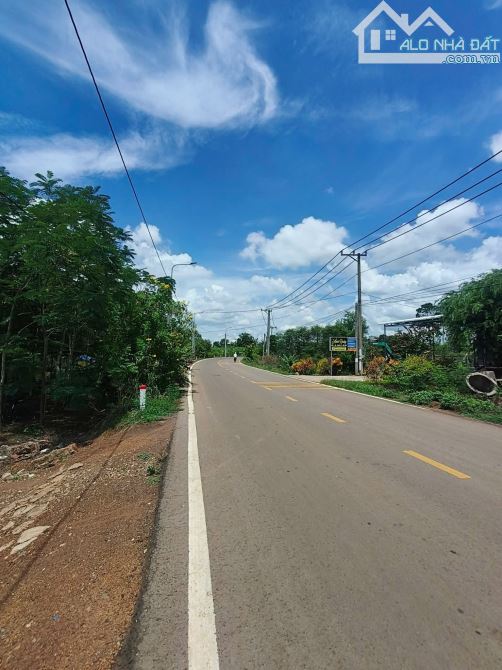 BÁN 5.5 SÀO MT NHỰA ÂP 4 XUÂN TÂY CẨM MỸ ĐỒNG NAI, CÓ 100TC GIÁ CHI 4.25 TỈ