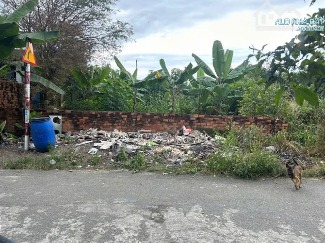 Cần bán gấp lô đất mặt tiền đường Tỉnh lộ 15, Tân Thạnh Đông, 560m2 giá 1tỷ6, shr