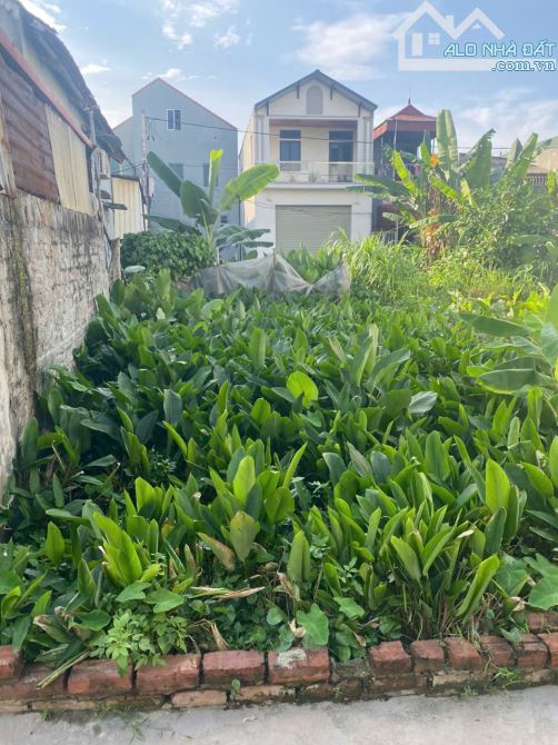 BÁN ĐẤT ĐẸP – ĐỒNG THÁP, ĐAN PHƯỢNG – 50,6m² – GIÁ CHỈ 3,X TỶ