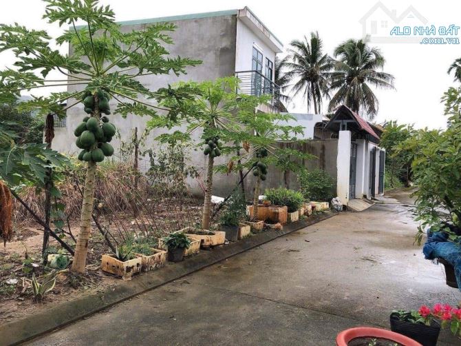 Bán nhanh lô đất thôn Đông Dinh - Diên Toàn -Diên Khánh đường oto