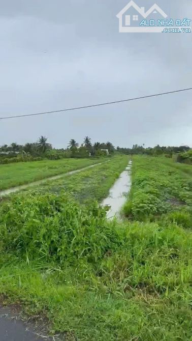 CHO THUÊ ĐẤT 22.000M2 MẶT TIỀN QUỐC LỘ 1a, MẶT TIỀN 110m, Hợp đồng 10 năm