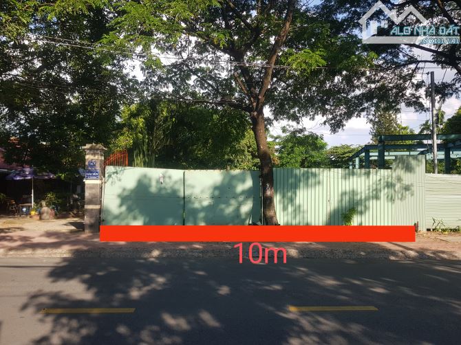 Bán đất mặt tiền đường Trần Bình Trọng, Phú Thọ, Thủ Dầu Một. 10x43m. Tc 150m