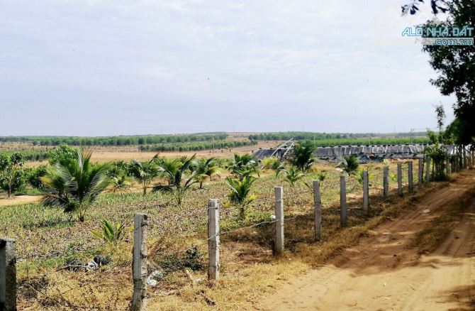 Bán 3.2ha đất vườn siêu đẹp ngay Trang trại nuôi yến tại Định Quán, Đồng Nai