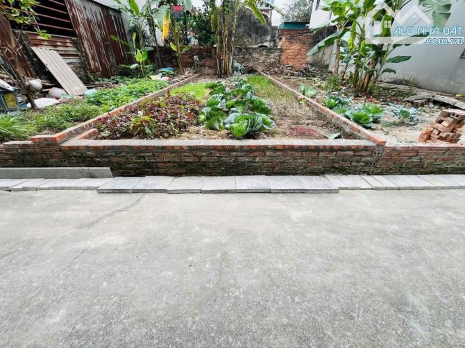 Cần bán gấp 50 m đất cực phẩm Đường yên Xuân nộn Đông Anh ô tô đỗ cửa giá rẻ hơn thị trườn