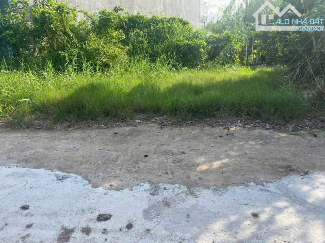 Bán đất thổ cư Thị trấn Cần Giuộc: 100m2 thổ cư đường xe hơi - 1