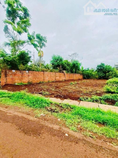 ĐẤT ĐẠT LÝ HÒA THUẬN 1,1TY 5X29 TC60M KHU VỰC ĐÔNG DÂN CƯ  CÁCH QL14 CHỈ 500M - 1