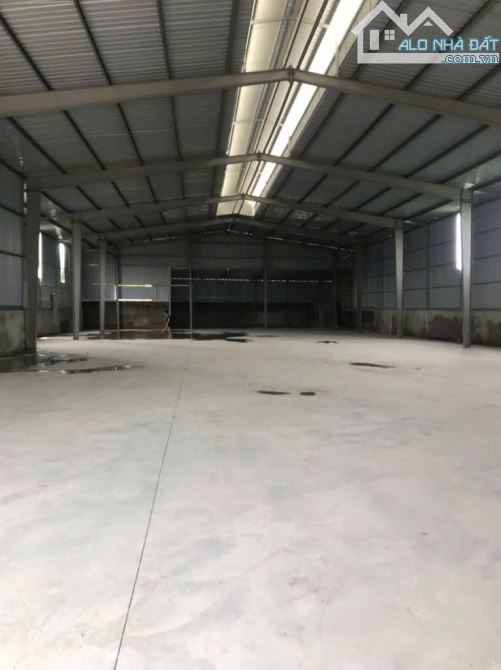 CHO THUÊ XƯỞNG MỚI DỰNG 1000m² – VÂN NAM, PHÚC THỌ – GIÁ SIÊU HỢP LÝ CHỈ 40K/m² - 1