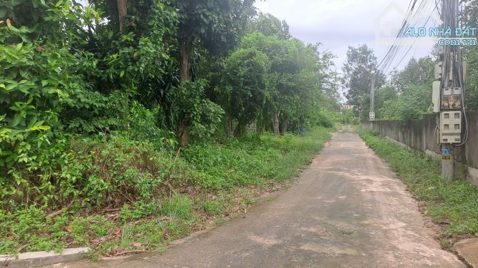 SIÊU PHẨM ĐẤT 3 MẶT TIỀN – 2500M² – FULL HỒNG – NGAY KCN LỘC AN – BÌNH SƠN - 1