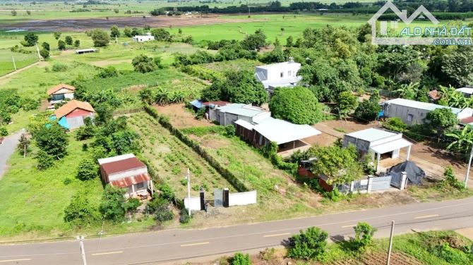 🍇Bán Lô Đất 9m Mặt tiền Đường Nam Kì Khởi Nghĩa TT Đất Đỏ - BRVT - 1