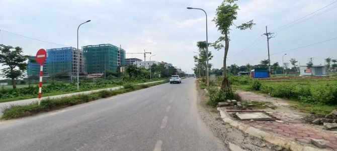 Bán đất đấu giá Bạch Đa -Kim Hoa-Mê Linh-Hà Nội-Trục  Chính KD-Đường Ngô Miễn 📕 LK1A - 1