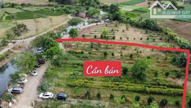 BÁN ĐẤT VƯỜN VIEW SUỐI MÁT TẠI XÃ HÀM TRÍ - 2