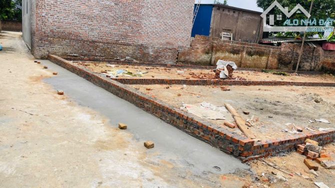 Chính chủ bán đất Tân Minh, Sóc sơn 111m full thổ cư ô tô đỗ cửa nhỉnh 1,9 tỷ - 2