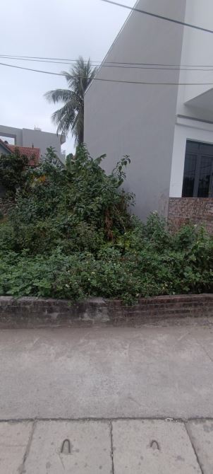 ĐẤT CHÍNH CHỦ CỔ DƯƠNG TIÊN DƯƠNG - 2