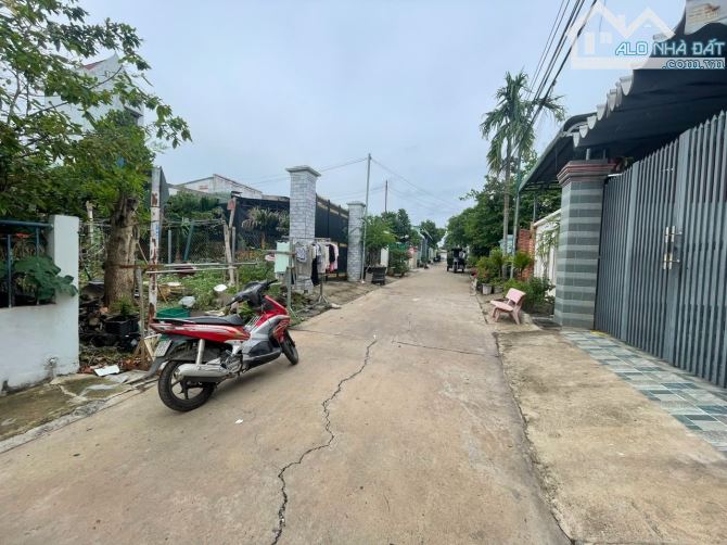 Bán đất thổ cư 100%, đường bê tông, sổ riêng tại thị trấn Vĩnh An, Vĩnh Cửu - 2
