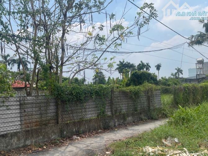 Bán Đất  thổ cư đường VƯỜN LÀI, phường AN PHÚ ĐÔNG, Q12, dt 238,7m²(9,3x27)💰7,5 tỷ - 2