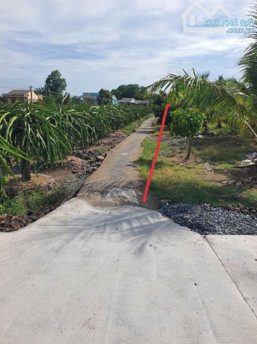 600m2 đất vườn giá rẻ bèo 219tr, sổ sẵn gần chợ Thanh Phú Long - 1