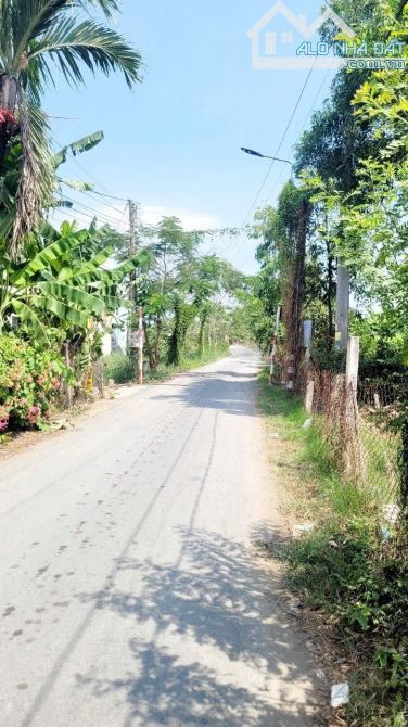 Bán đất thổ cư Thị trấn Cần Giuộc: 100m2 thổ cư đường xe hơi - 3
