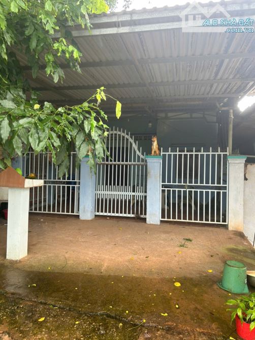 Bán nhà KDC Ba Đăng Tân Hải, thị xã LaGi giá rẻ 900 triệu full thổ - 3