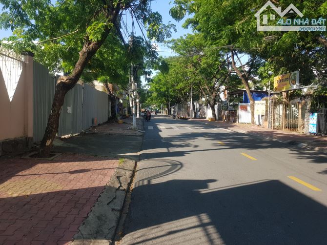Bán đất mặt tiền đường Trần Bình Trọng, Phú Thọ, Thủ Dầu Một. 10x43m. Tc 150m - 3
