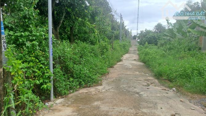 SIÊU PHẨM ĐẤT 3 MẶT TIỀN – 2500M² – FULL HỒNG – NGAY KCN LỘC AN – BÌNH SƠN - 3