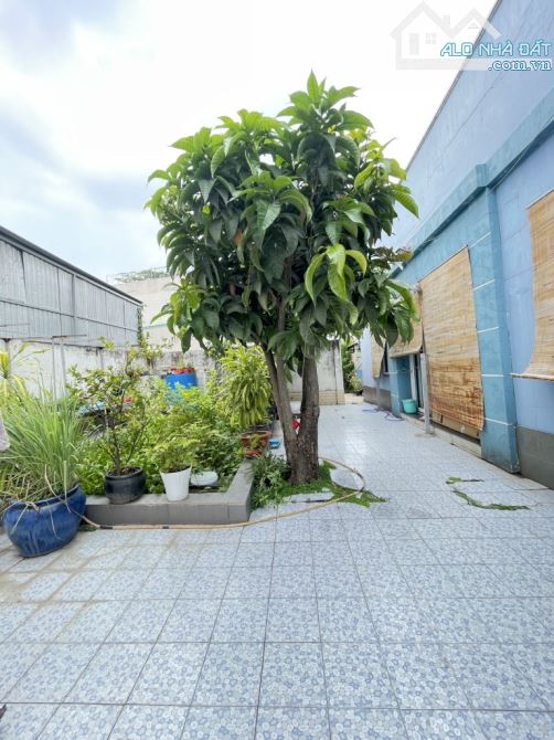 BÁN ĐẤT MT KD THẠNH XUÂN 25- DT 240m2 (8x30)- chỉ 20💰 - 3