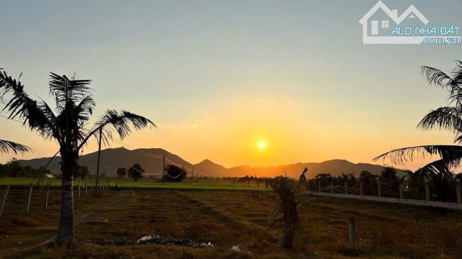 2967M2 MẶT TIỀN TÔN THẤT THUYẾT- THỊ TRẤN PHƯỚC HẢI- CÁCH BIỂN 2KM🏝️🏝️ - 3