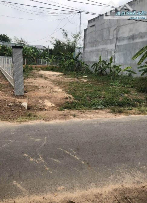 Bán đất An Điền Bến Cát gần vóng xoay An Điền 5x38 giá 1ty250 - 3