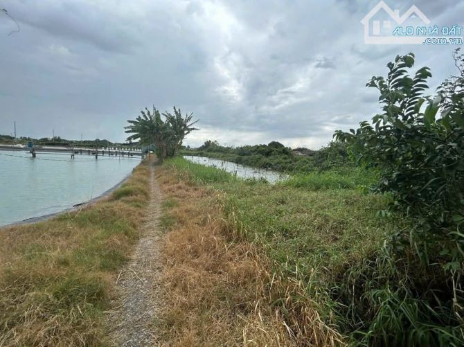 Hàng Thơm, 1975m2 thổ Thuận Mỹ(16x90)- đường 6m- cách SG 40p-  Giá 2 Tỷ 500 - 3