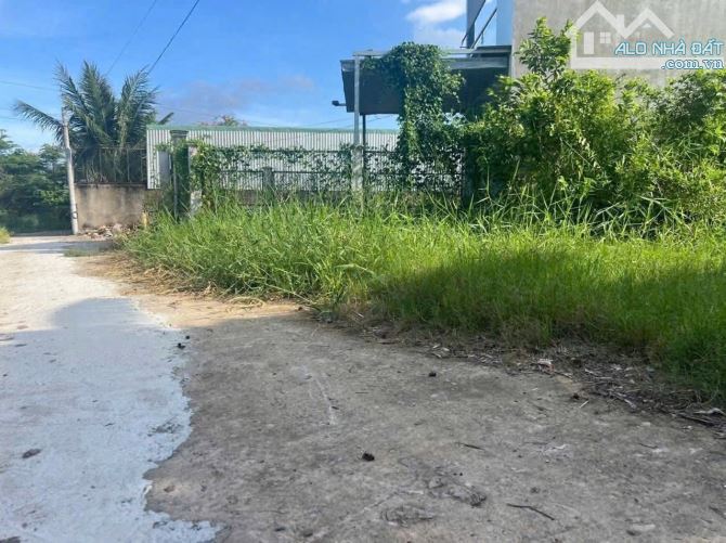 Bán đất thổ cư Thị trấn Cần Giuộc: 100m2 thổ cư đường xe hơi - 4