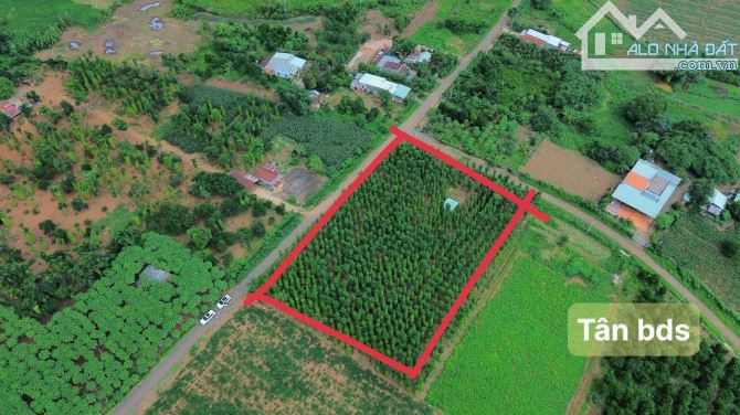 Đất gần view hồ Đá Bàng, xã Đá Bạc, Huyện Châu Đức, 5x33x80tc giá chỉ 680 trieu - 4