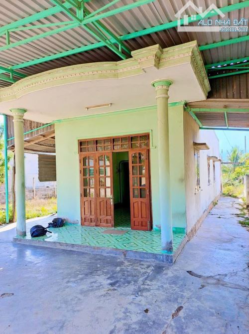 🏡 CHỈ 1 TỶ 750 TRIỆU – SỞ HỮU NGAY LÔ ĐẤT GẦN 600m² KÈM NHÀ CẤP 4! PHAN RANG NINH THUẬN - 4