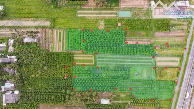 CHO THUÊ ĐẤT 22.000M2 MẶT TIỀN QUỐC LỘ 1a, MẶT TIỀN 110m, Hợp đồng 10 năm - 4