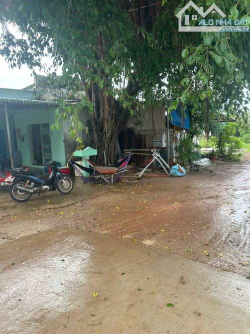 Bán nhà KDC Ba Đăng Tân Hải, thị xã LaGi giá rẻ 900 triệu full thổ - 4