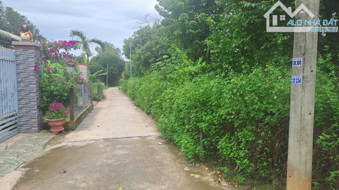 SIÊU PHẨM ĐẤT 3 MẶT TIỀN – 2500M² – FULL HỒNG – NGAY KCN LỘC AN – BÌNH SƠN - 4