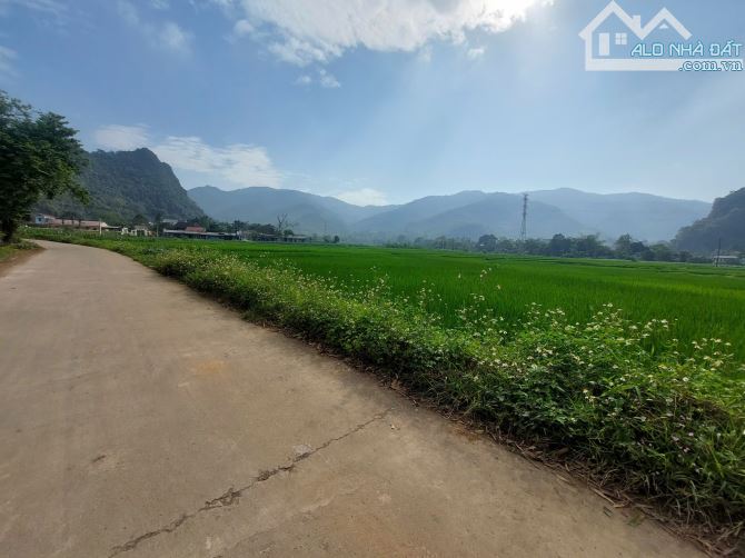 CẦN BÁN LÔ ĐẤT 99,6M FULL TC VIEW CÁNH ĐỒNG CỰC ĐẸP - 4